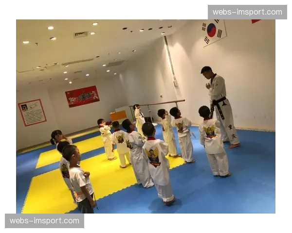 世界跆拳道联盟更新裁判计分系统，电子护具算法迎来重大升级